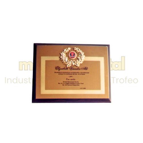 Imagen de Placa de reconocimiento - M3.104